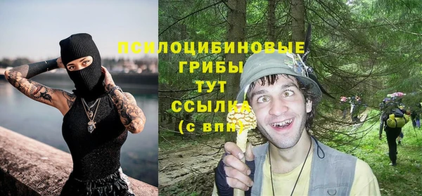 прущие грибы Аркадак