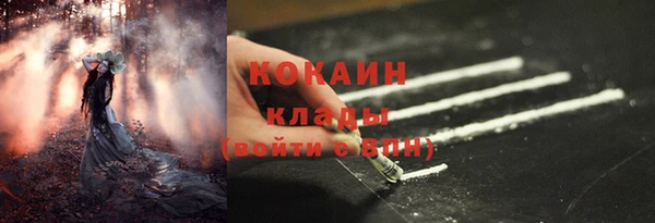 прущие грибы Аркадак