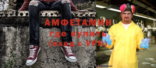 прущие грибы Аркадак