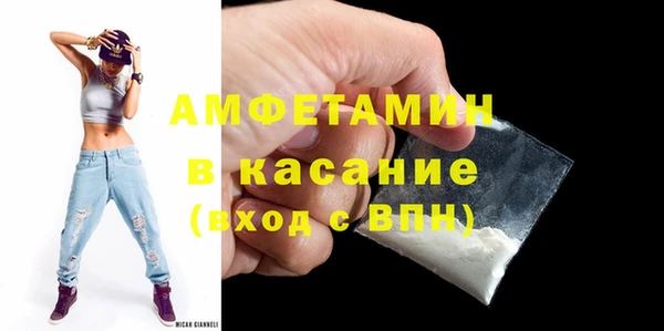 прущие грибы Аркадак