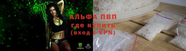 прущие грибы Аркадак