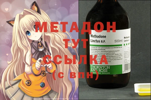 прущие грибы Аркадак