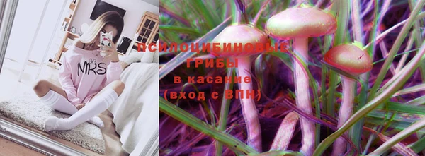 прущие грибы Аркадак