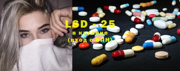 прущие грибы Аркадак
