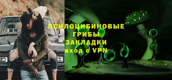 прущие грибы Аркадак