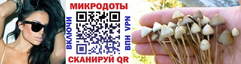 Купить где  Саратов  Галлюциногенные грибы ЛСД 